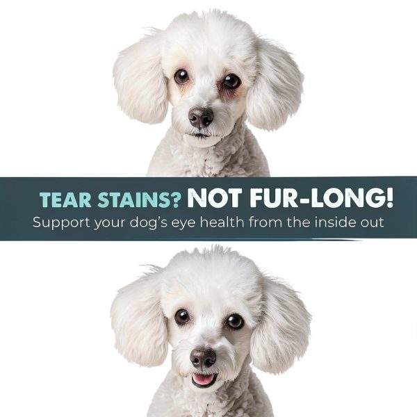 Mighty Eyes Dog Tear Stain Supplement Vet Formulated USA-4