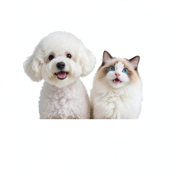 Oivollii Tear Stain Remover Balm Gentle Pet Eye Care-7