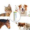 Pet Eye Health VivaElixir Easy Application Fresh Formula-2