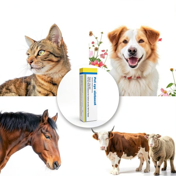 Pet Eye Health VivaElixir Easy Application Fresh Formula-2