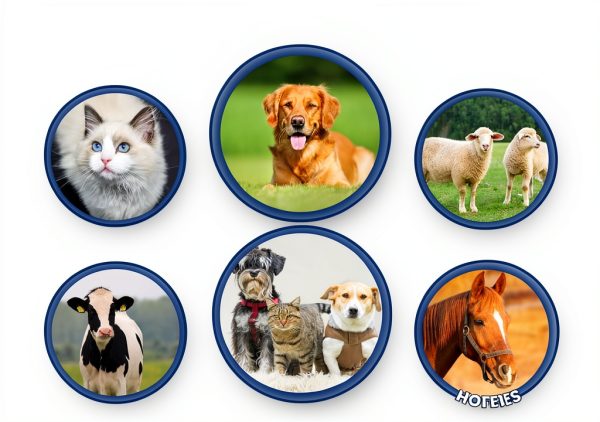 TerraPet Dog Eye Care Cream Easy Application All Ages-5