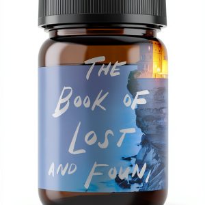 Great Family Secret Kindle eBook by Little Brown Historical Fiction-0